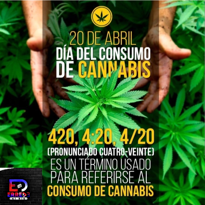 Día Mundial de la Marihuana por qué se celebra el 20 de abril y cuál